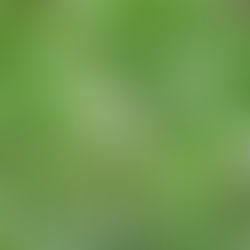 Homily: Memorial of Saint John of the Cross