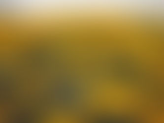 Homily: Monday of the 15th Week in Ordinary Time