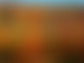 Homily: Thanksgiving Day