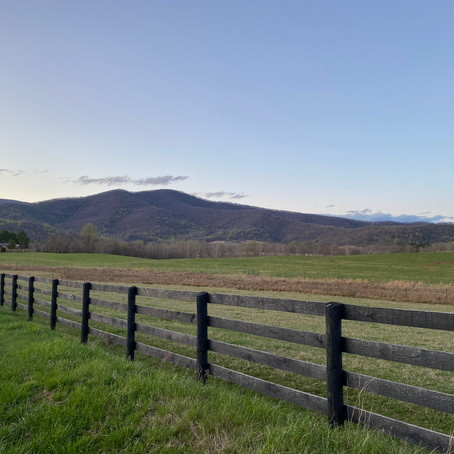 Gaining Perspective from a Time-Lapse