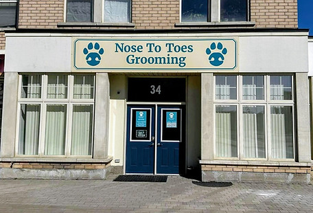 Nose to toes_edited.jpg