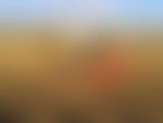 Première moisson Lexion 7500