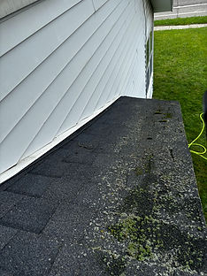 Residential pressure washing and soft wash Grand Ledge, Lansing, Dewitt, Portland, Charlotte, East Lansing, Haslett, Holt, Mason, St John, Clare, Flint and all of Mid-Michigan roof wash