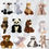 Thumbnail: MediBudi - Stuffed Animal 3