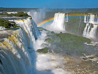 How can we save planet earth?