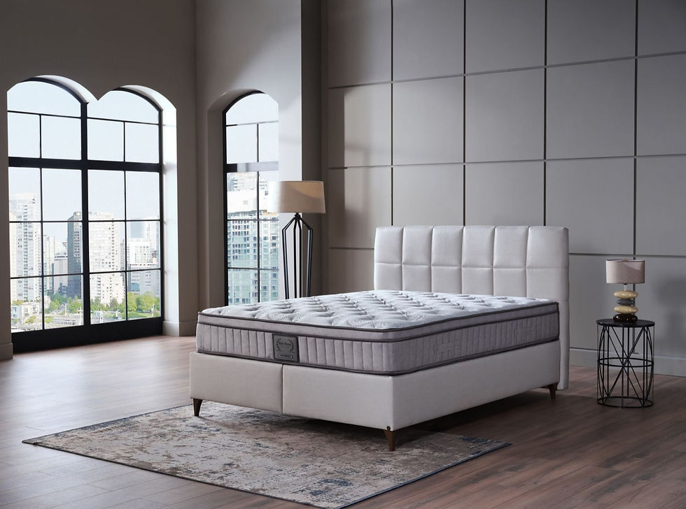 Miniature : Magasin de Meubles Mulhouse 68200 Ensemble lit coffre set baza matelas 2 personnes  turc istikbal mondi home bellona nadico a