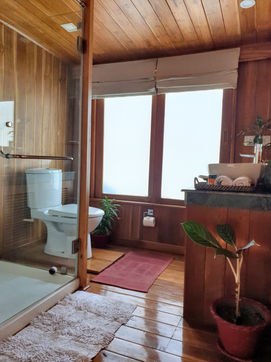 M.V. Rudra Singha bathroom