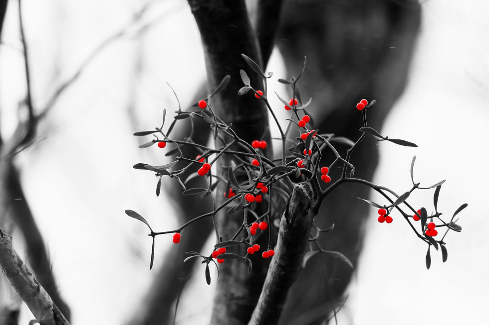 28. 정상기, 60x90.jpeg