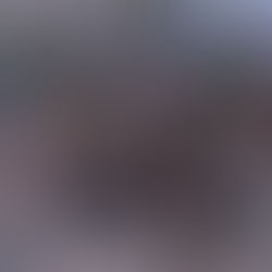 The Ultimate Guide to Sambar Hunting in Australia: Why Winter Through Spring is the Best Time