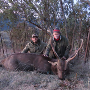 The Ultimate Guide to Sambar Hunting in Australia: Why Winter Through Spring is the Best Time