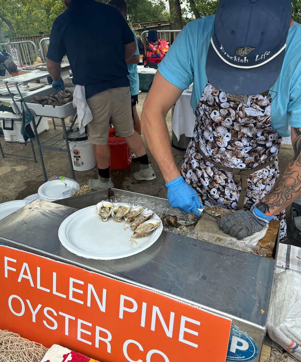 havre-de-grace-seafood-festival