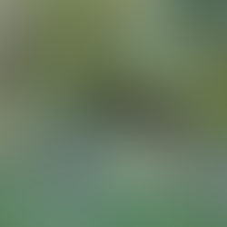 MDE Report about our Storm Water Ponds