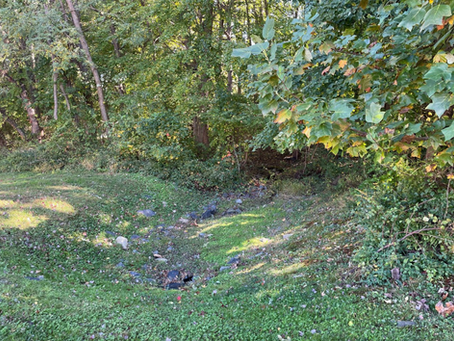 MDE Report about our Storm Water Ponds