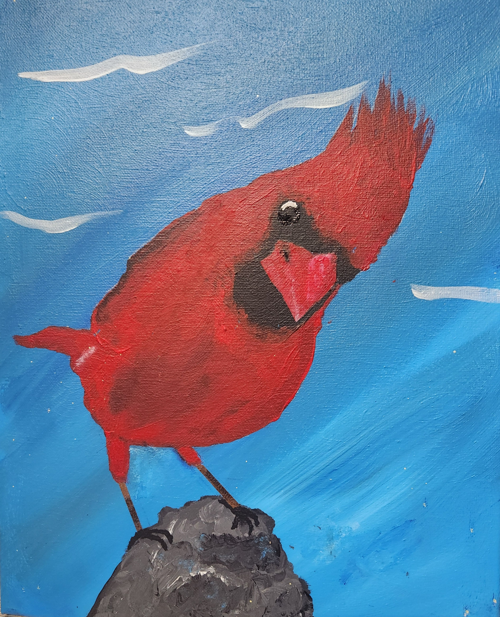 Inquisitive Cardinal