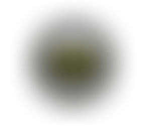 Travel Photographer of the Year