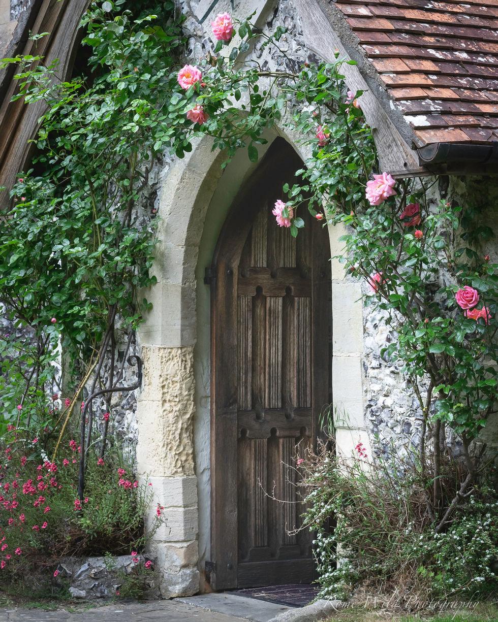 Rooftop Roses - East Dean, Sussex, 2022