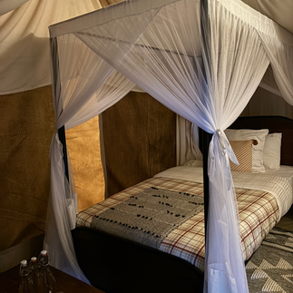 The Acacia Migration Camp