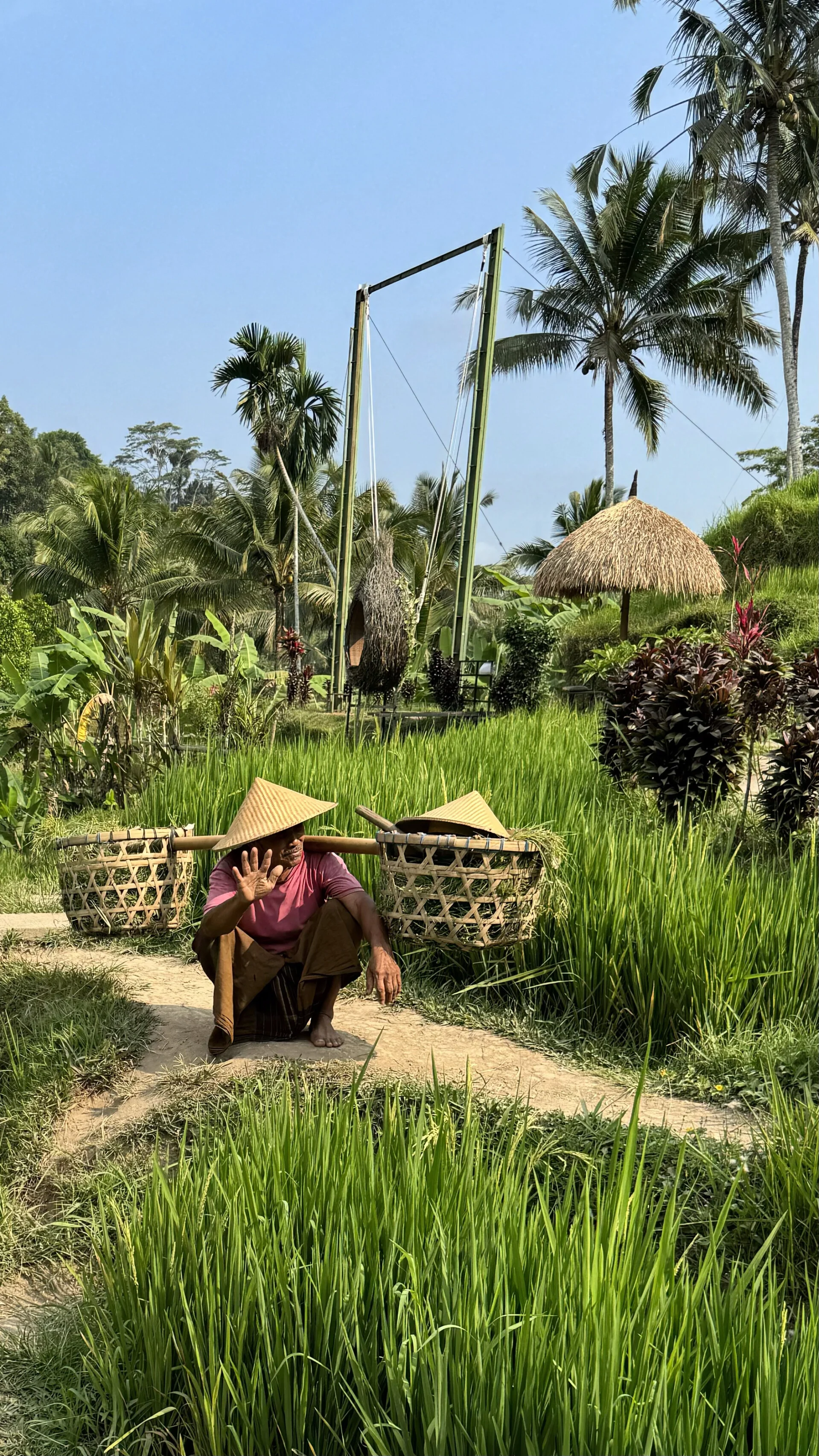 Tegallalang Rice Terrace