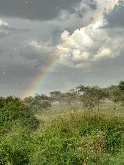 Serengeti in Tanzania