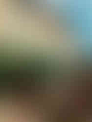 Biot