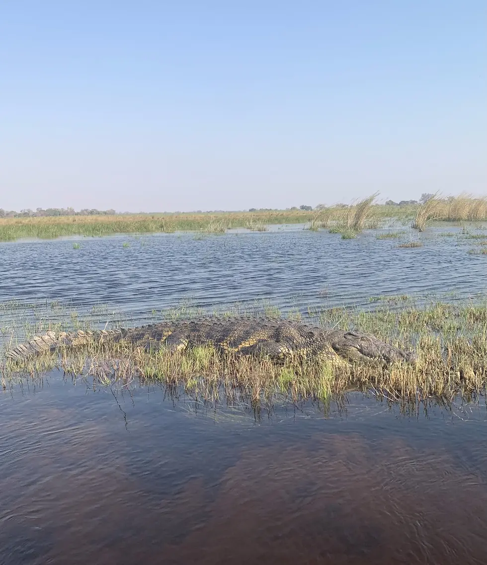 Kwando River