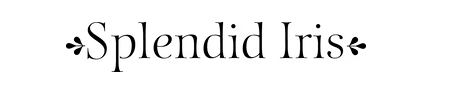 Screenshot 2026-07-12 at 8.26.47 PM.png