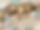4031191f-2b1c-4eab-9444-532ae22d217d.png