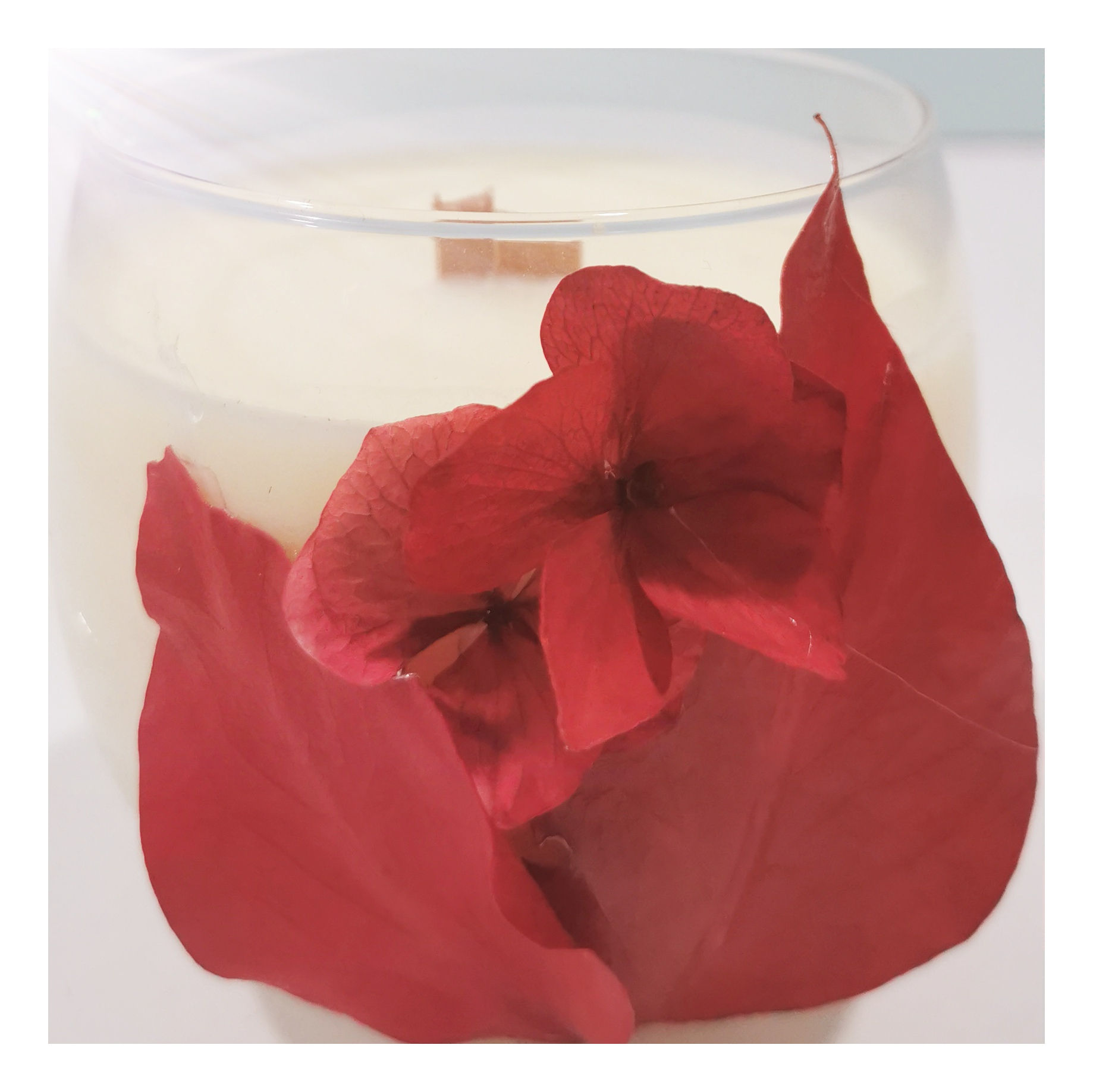 Bougie l'Envoutante en tenue de soirée