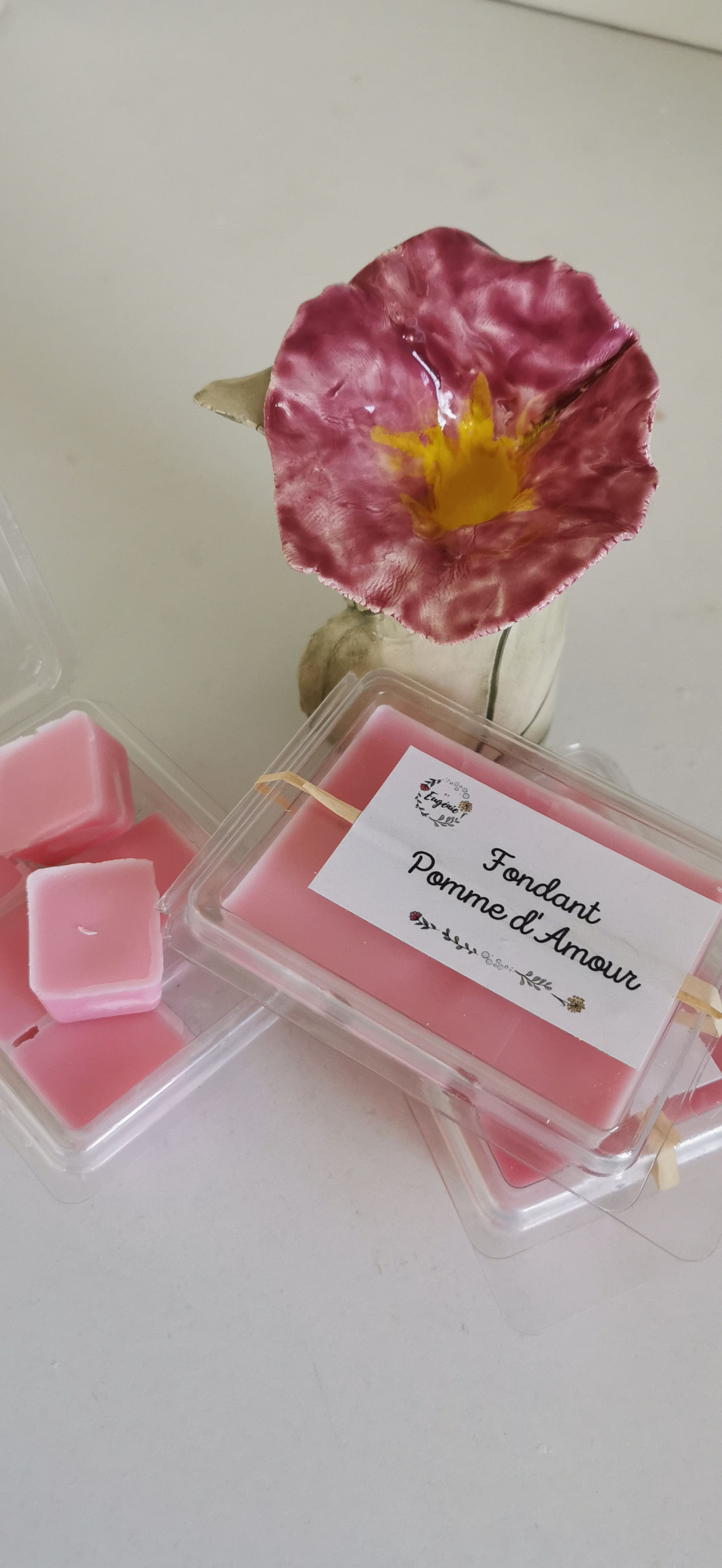 Tablette de fondants