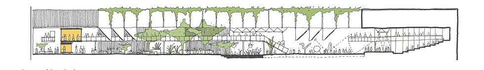 WAF BFA section