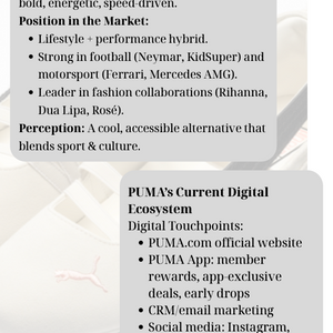 Marketing In Action-Puma