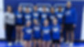 volleyball team