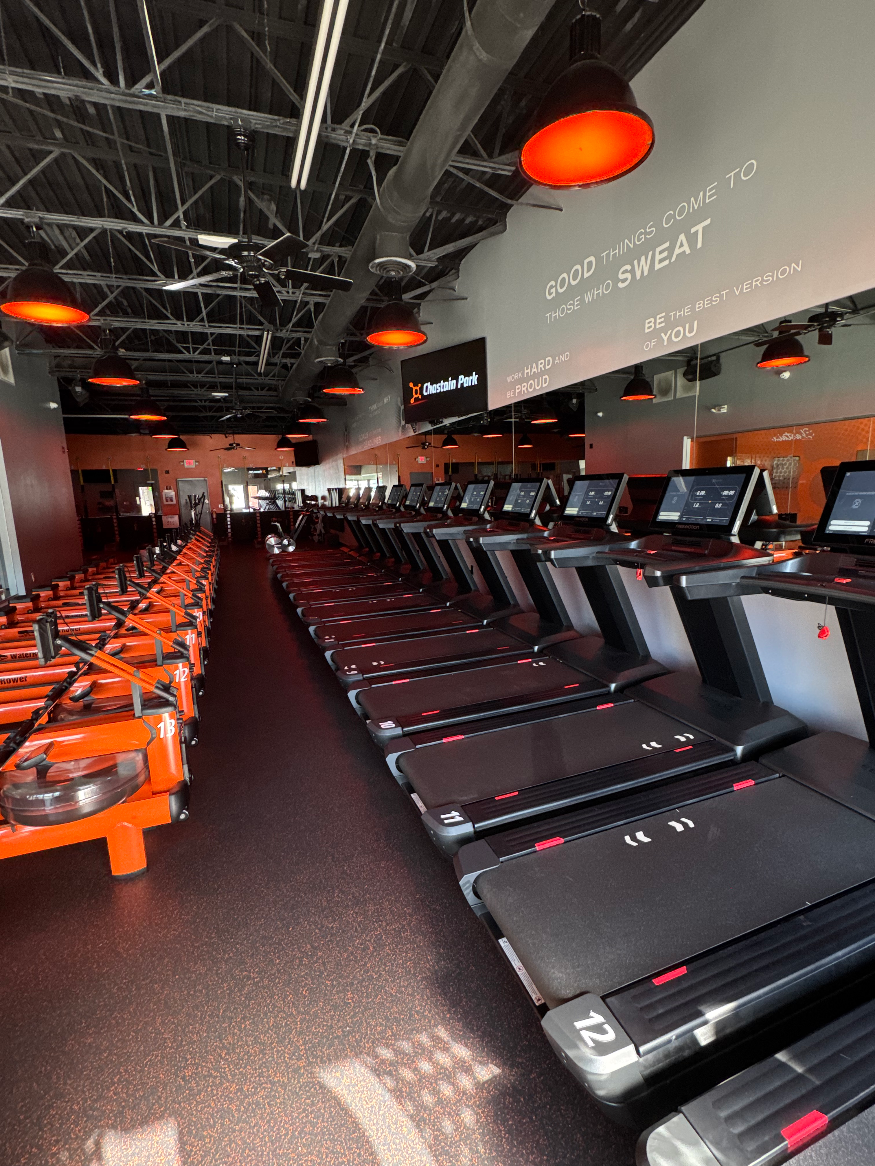 Close row of WaterRowers lit by orange ceiling lights at Orangetheory Charleston – West Ashley.