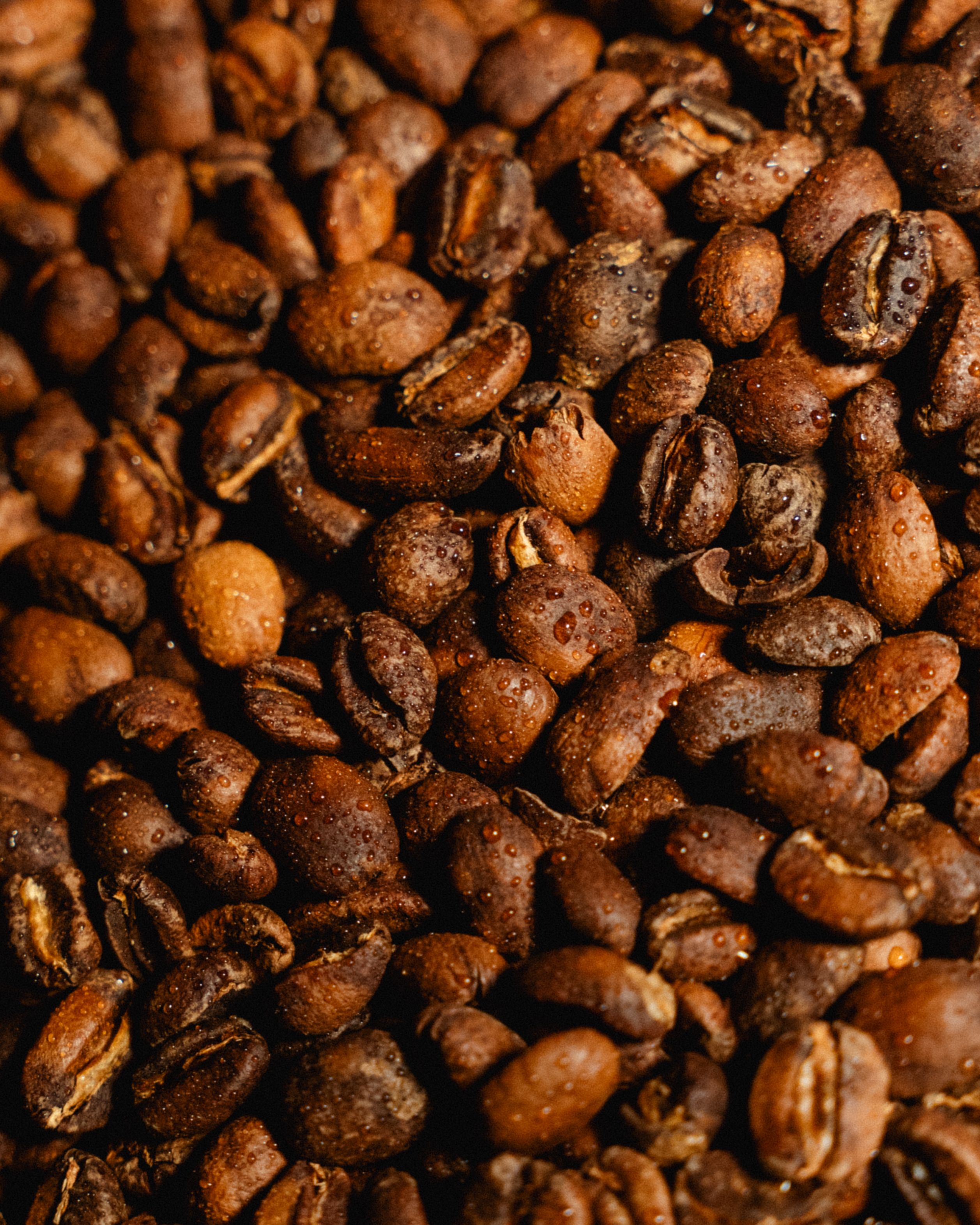 Macro of Colombian Gesha whole beans piled high, Cinco Cielos Coffee Co.