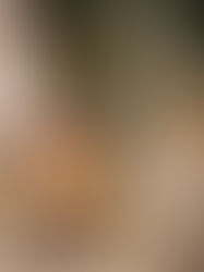 Cozy Up Your Home: Festive Simmer Pot Ideas for a Fragrant Holiday Season