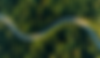 Untitled design (10).png