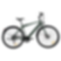 Vélo électrique vert