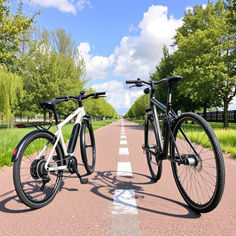 E-Bike vs. Klassisches Fahrrad im Jahr 2026