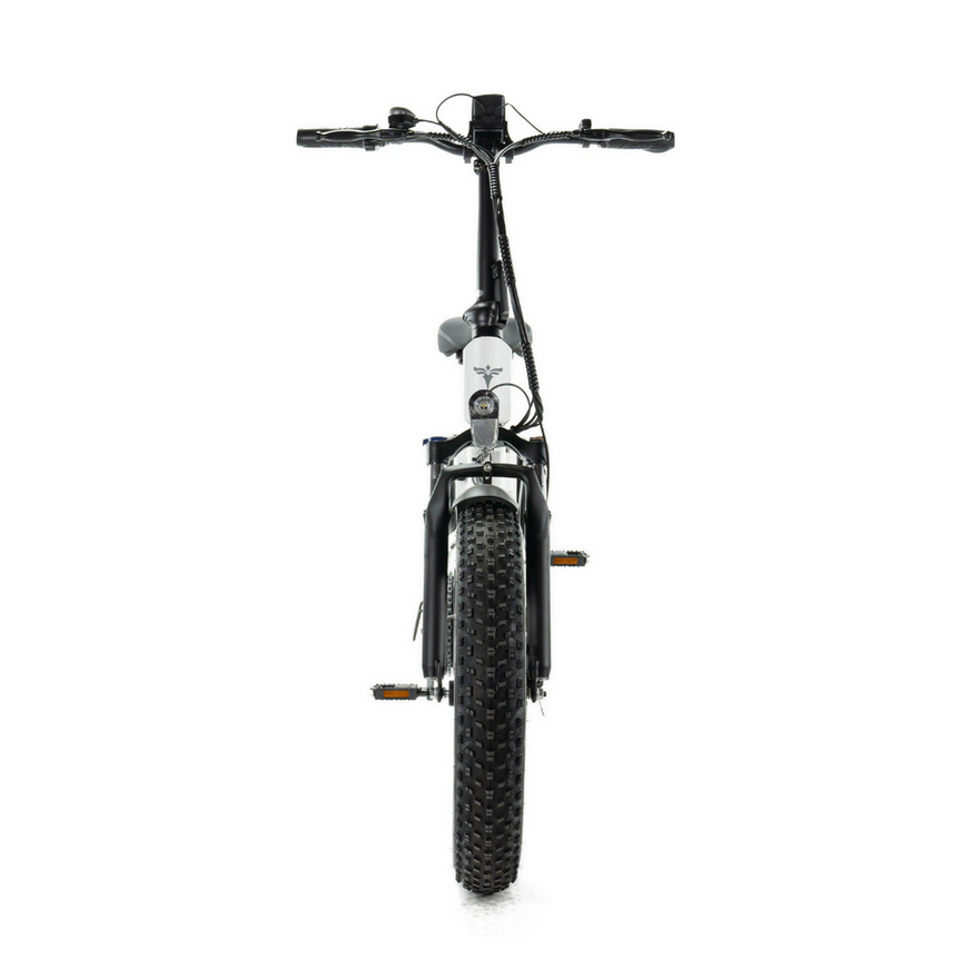 Miniaturbild: Kukirin G2P E-Roller, Vorderansicht