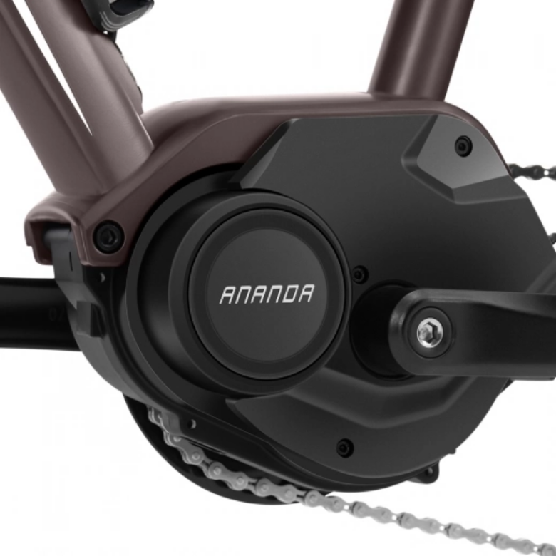 Miniaturbild: ANANDA Motor am E-Roller