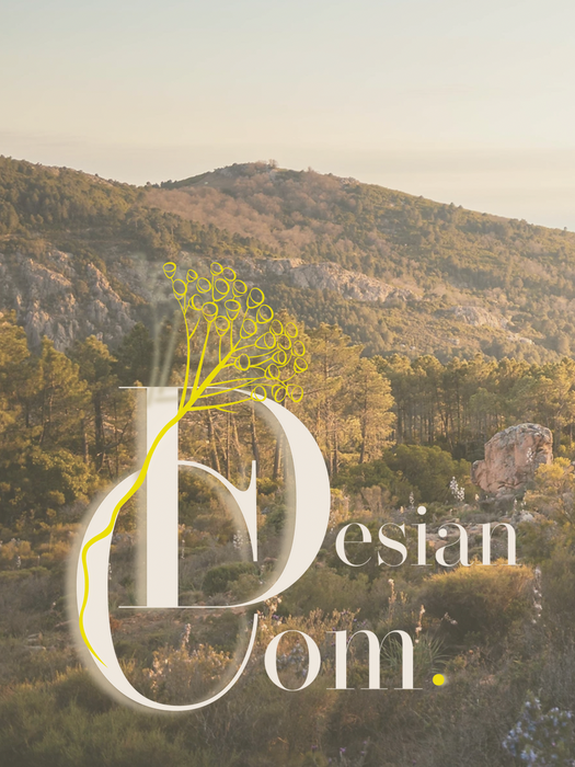 DesianCom agence de communication, marketing digital, création, content marketing