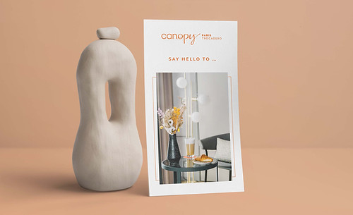 Canopy-mockup orange.jpg
