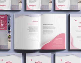 cover page and back copy.jpg