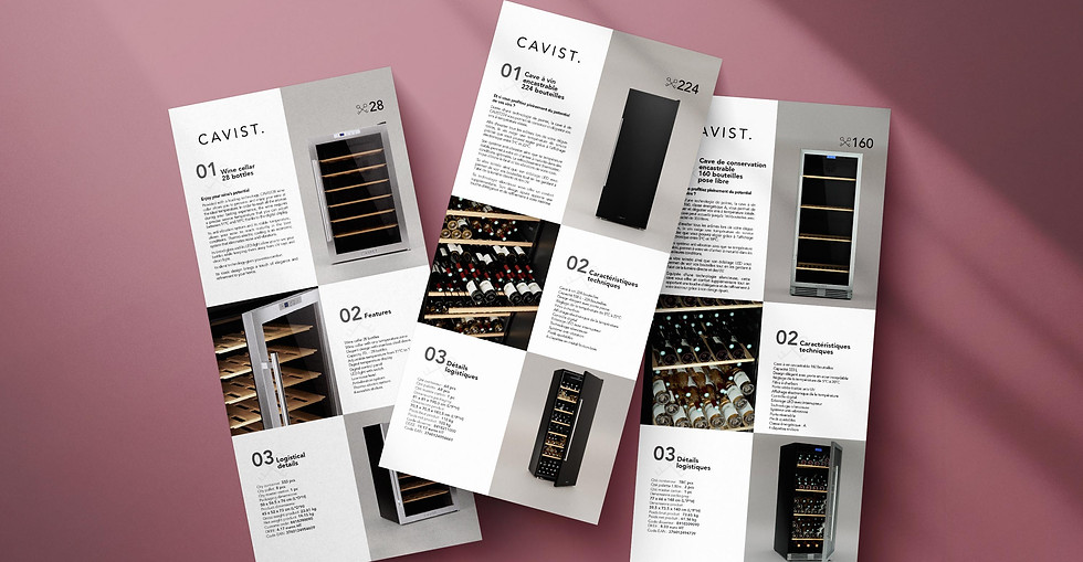 3flyers copy.jpg