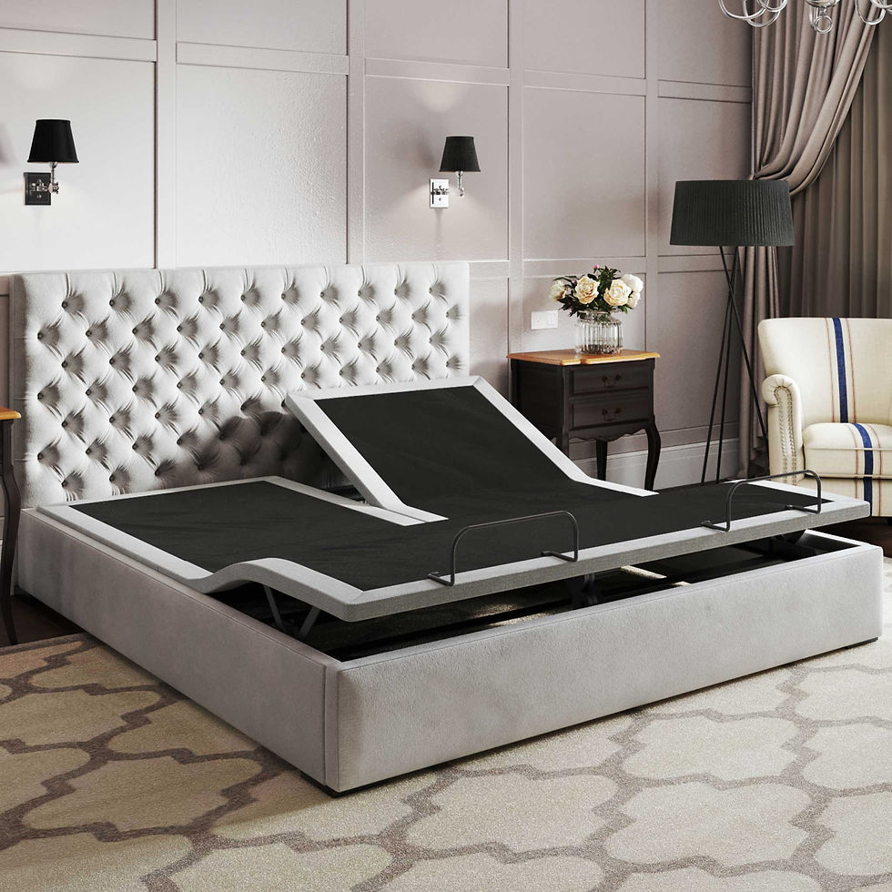 BedTech BTX5 Adjustable Bed adjustable bed base available in Sioux Falls, SD