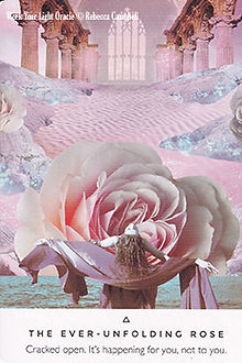 The Ever-Unfolding Rose.jpg