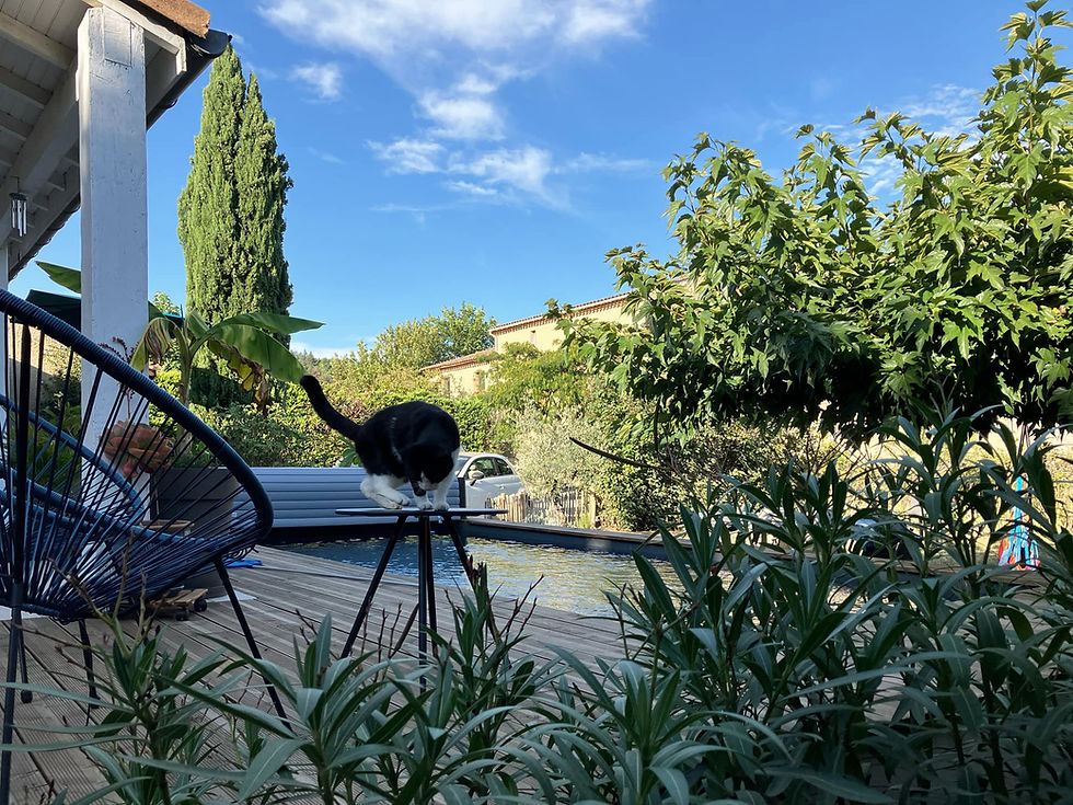 vue depuis jardin