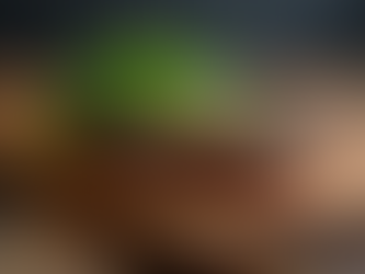 Bæredygtigt kød: En guide til naturpleje og smagfulde oplevelser