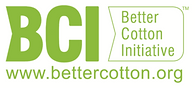 BCI_Logo_2015[1].png