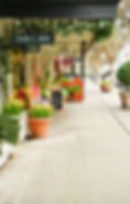 DSC_8486ps.jpg
